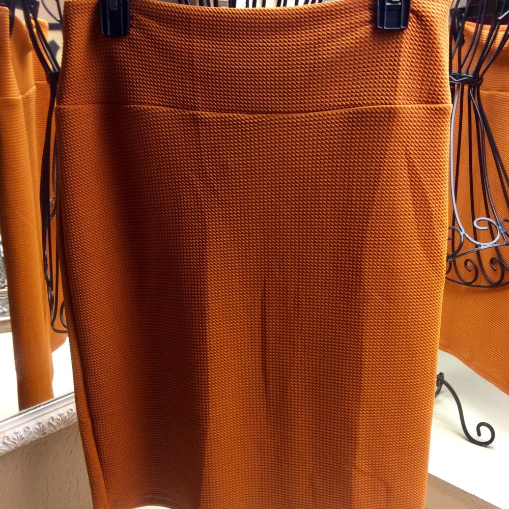 Lularoe Cassie skirt, size Med.